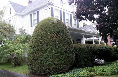 Park House Bed & Breakfast Johnson City Eksteriør bilde